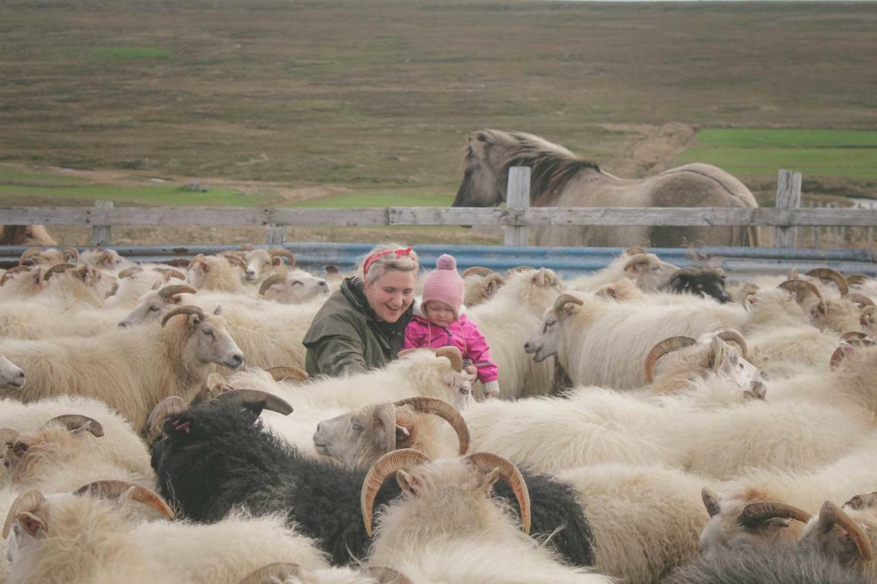 Sandur Þórshöfn Extérieur photo